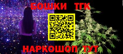 дурь Шелехов