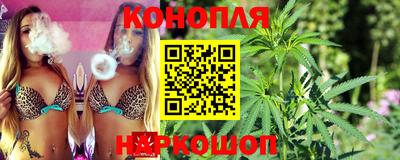индика Шахты