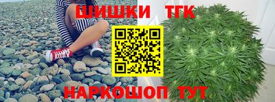 индика Шахты