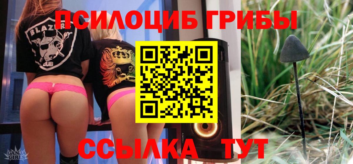 Рославль  Псилоцибиновые грибы Psilocybine cubensis  Псилоцибиновые грибы Psilocybe  Вход с VPN 